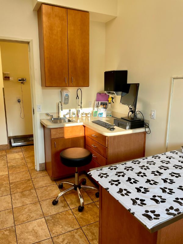 Bay Animal Hospital Exam Room