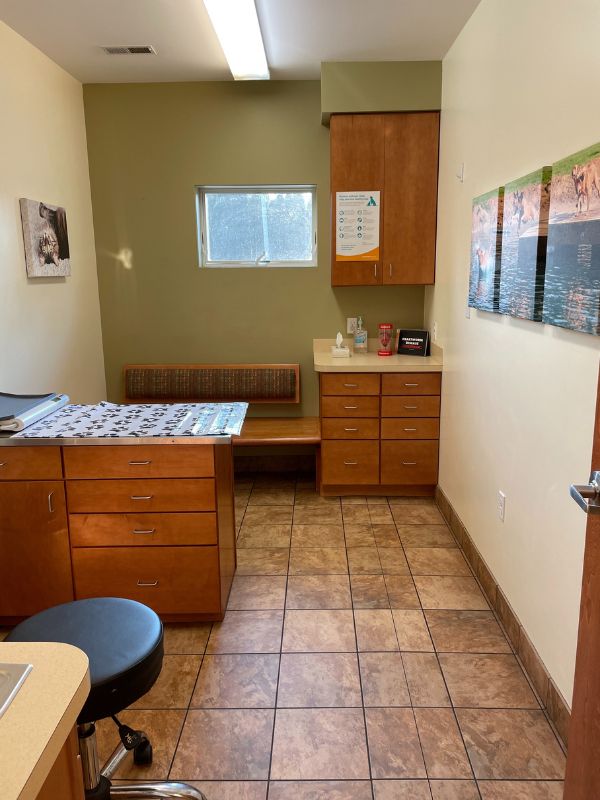 Bay Animal Hospital Exam Room