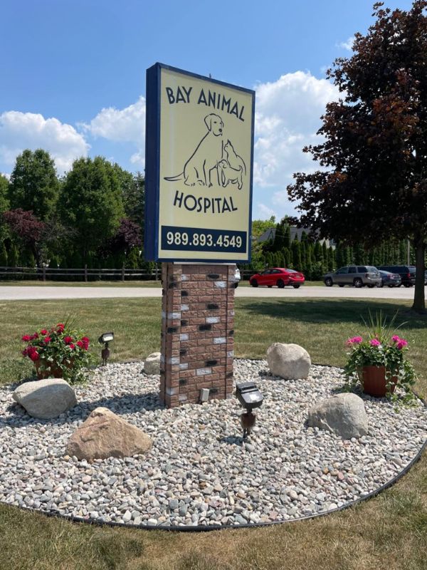 Bay Animal Hospital Front Sign