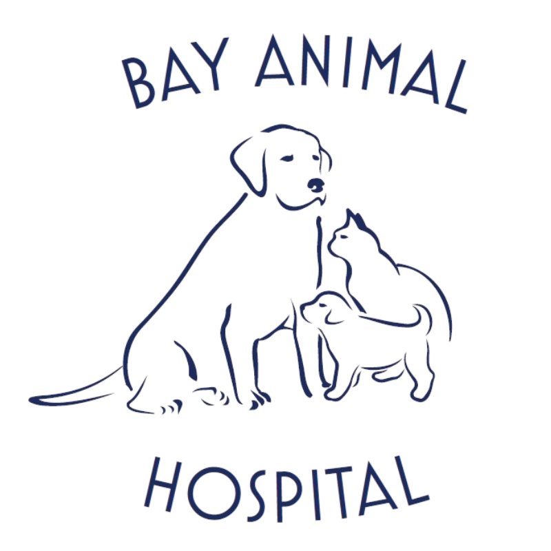 Bay Animal Hospital Logo