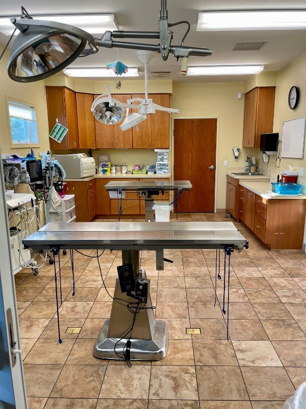 Bay Animal Hospital Surgery Room