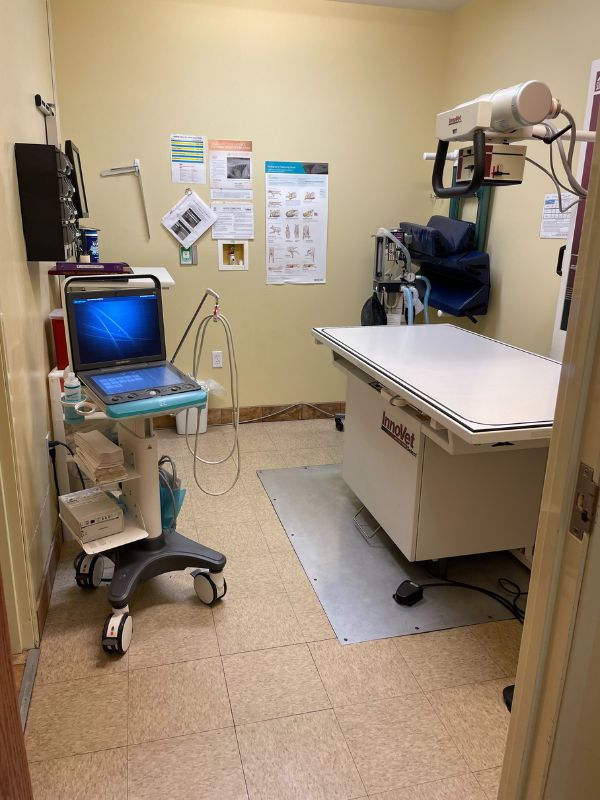 Bay Animal Hospital Ultrasound Room