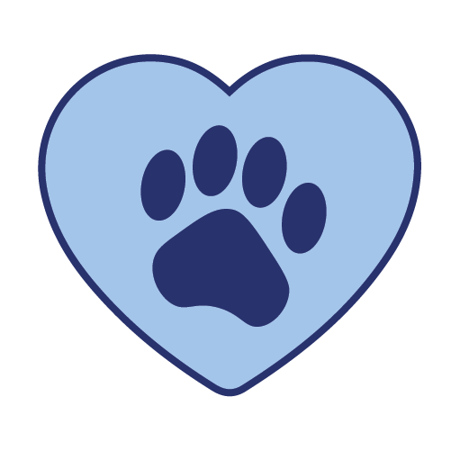 pet vaccination icon