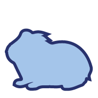 Guinea Pig Icon