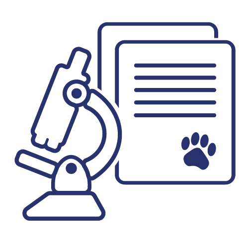 pet vaccination icon