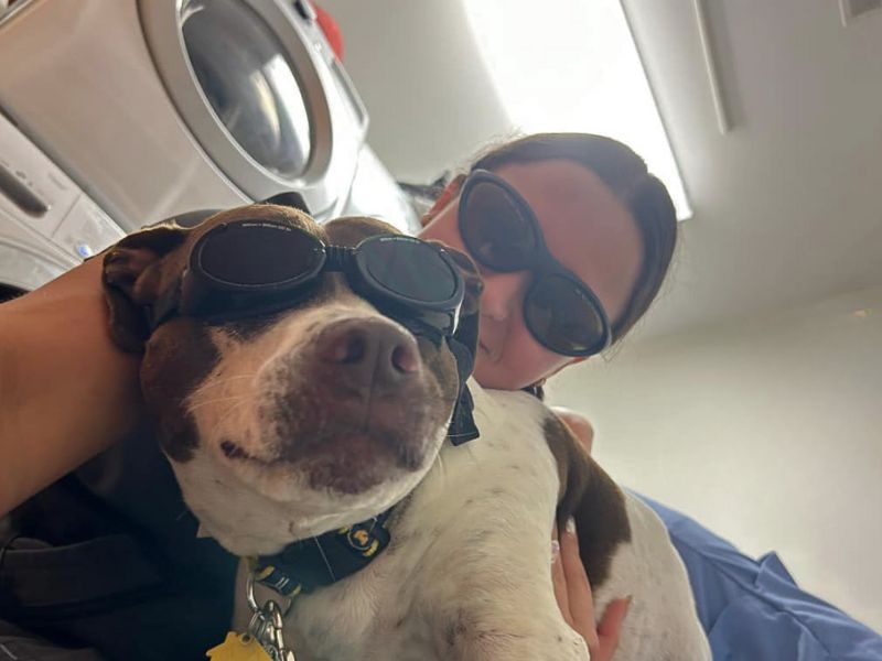 Dog and vet staff wearing sunglasses