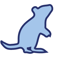 Rat Icon