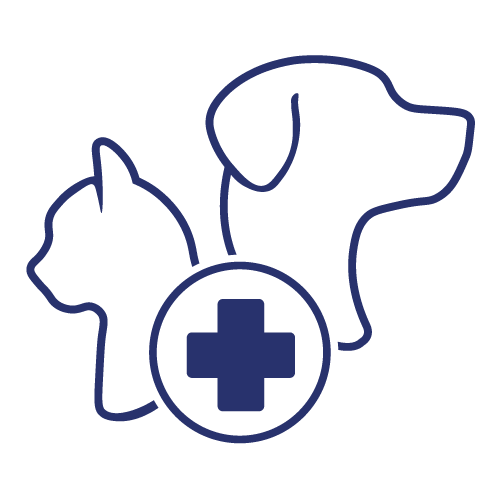 pet vaccination icon