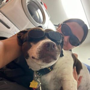 Vet Staff and dog wearing sunglasses