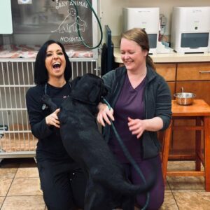 Vet Staff interacting with dog