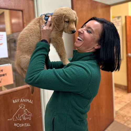 Vet staff holding up a puppy