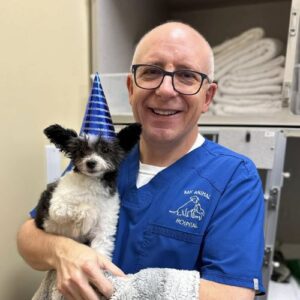 Veterinarian holding a dog in a party hat