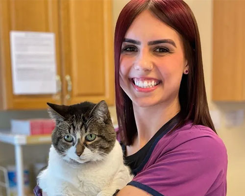 Alexis Bay Animal Hospital