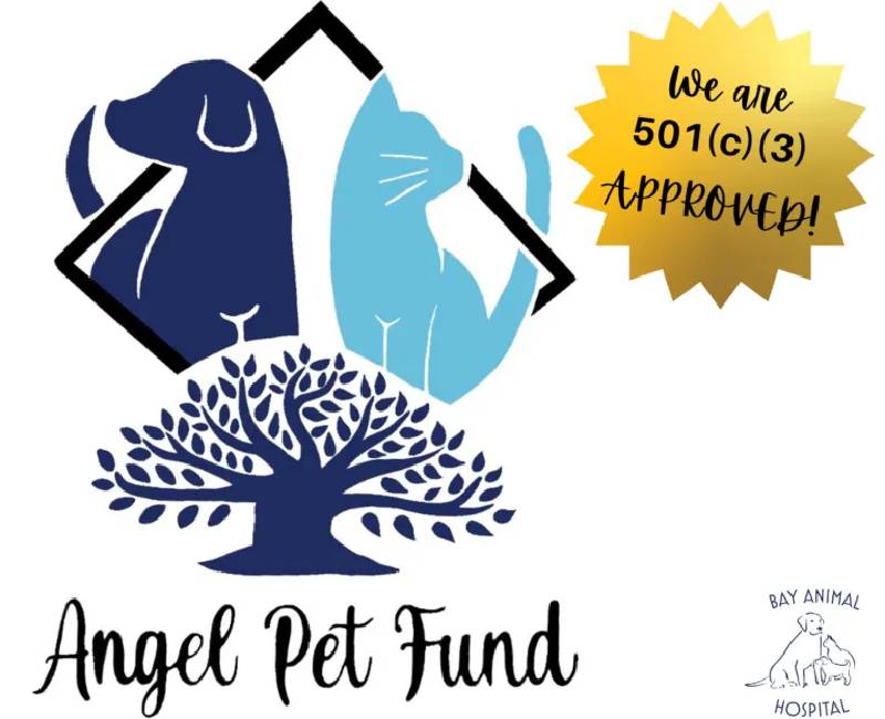Angel Pet Fund Bay Animal Hospital_