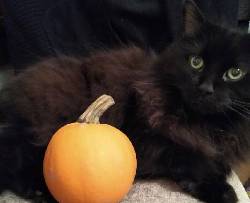 BINX