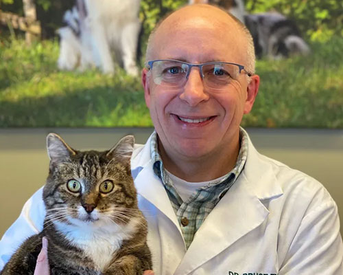Bruce W. Francke Bay Animal Hospital