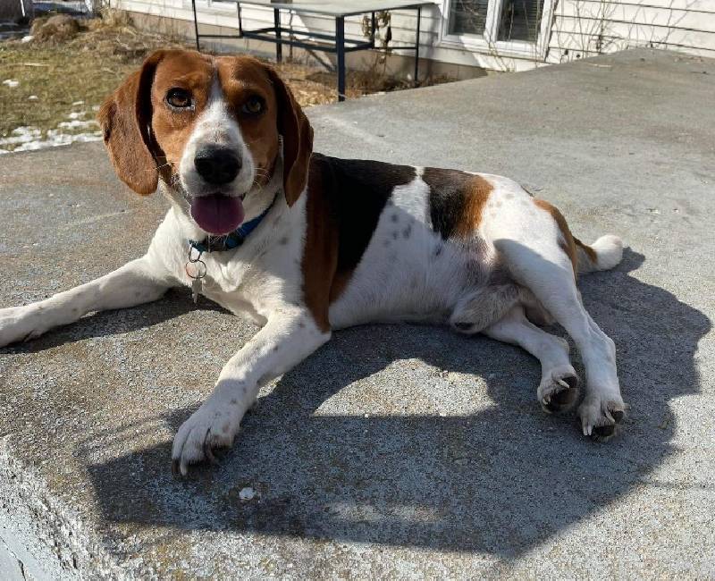 DUKE