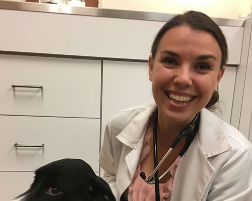 Hanna Vecsernyes Bay Animal Hospital