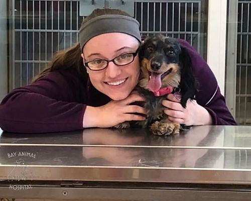 Hannah L. Bay Animal Hospital