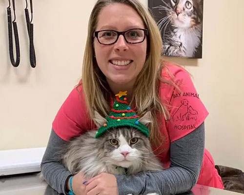 Jessica,-L.V Bay Animal Hospital