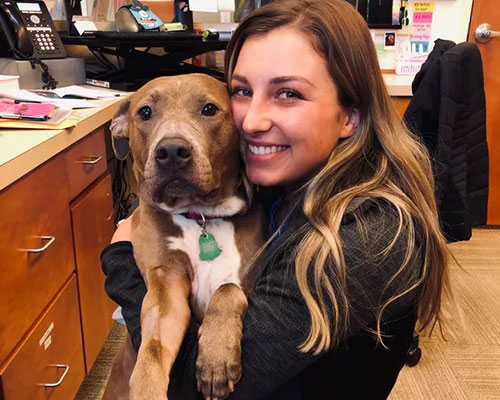 Katie Bay Animal Hospital