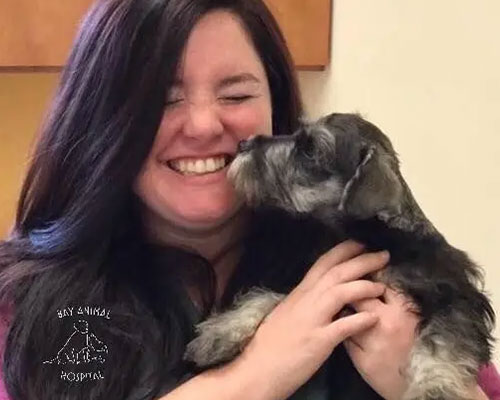 Laura Bay Animal Hospital