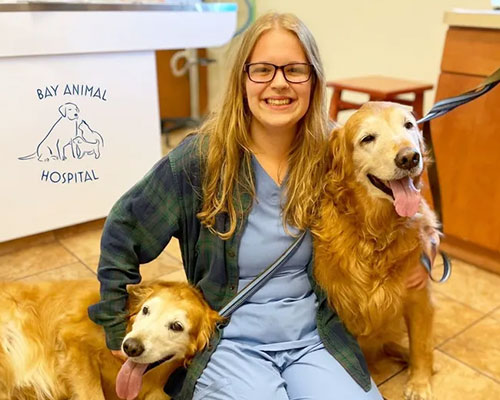 Lindsi-A. Bay Animal Hospital