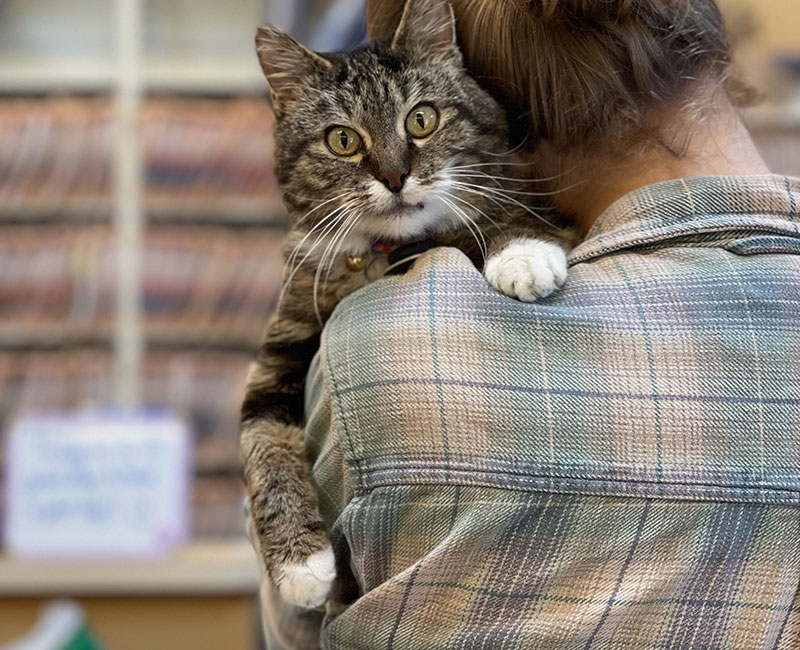 Why Preventative Care Matters