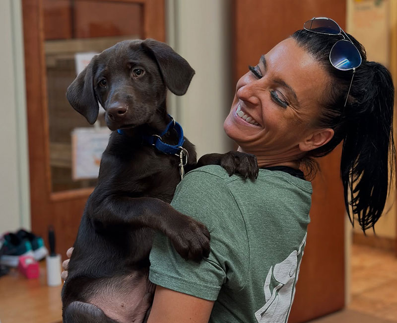 Veterinary Diagnostics Bay Animal Hospital