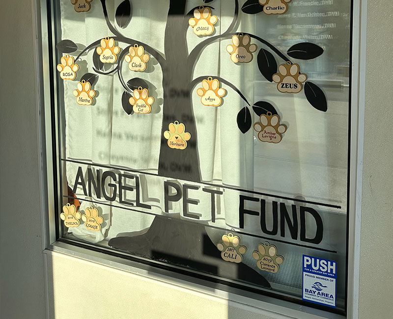 Angel Pet Fund