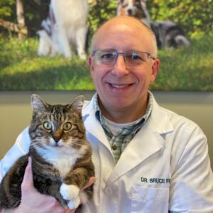Dr holding a cat