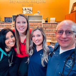bay animal hospital team