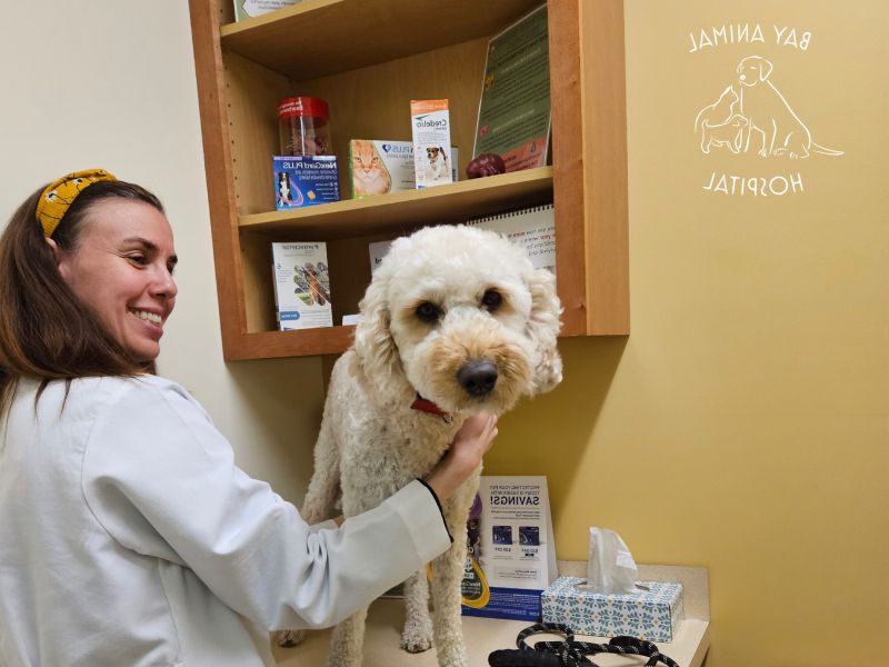 Behavioral and Nutritional Counseling