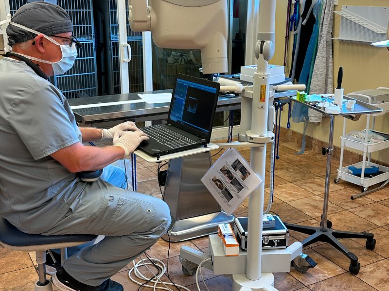 Dental radiographs