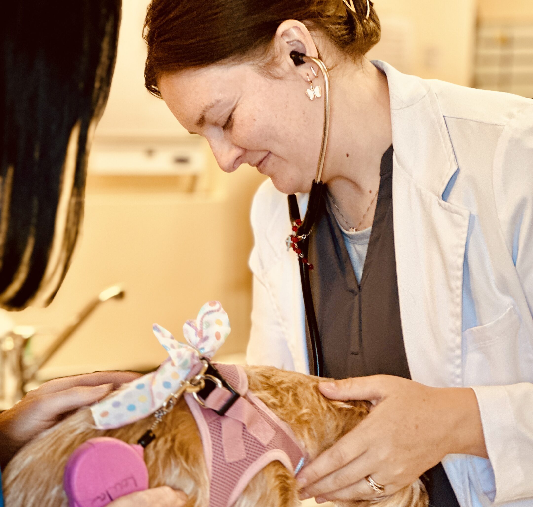 In-House Laboratory Testing