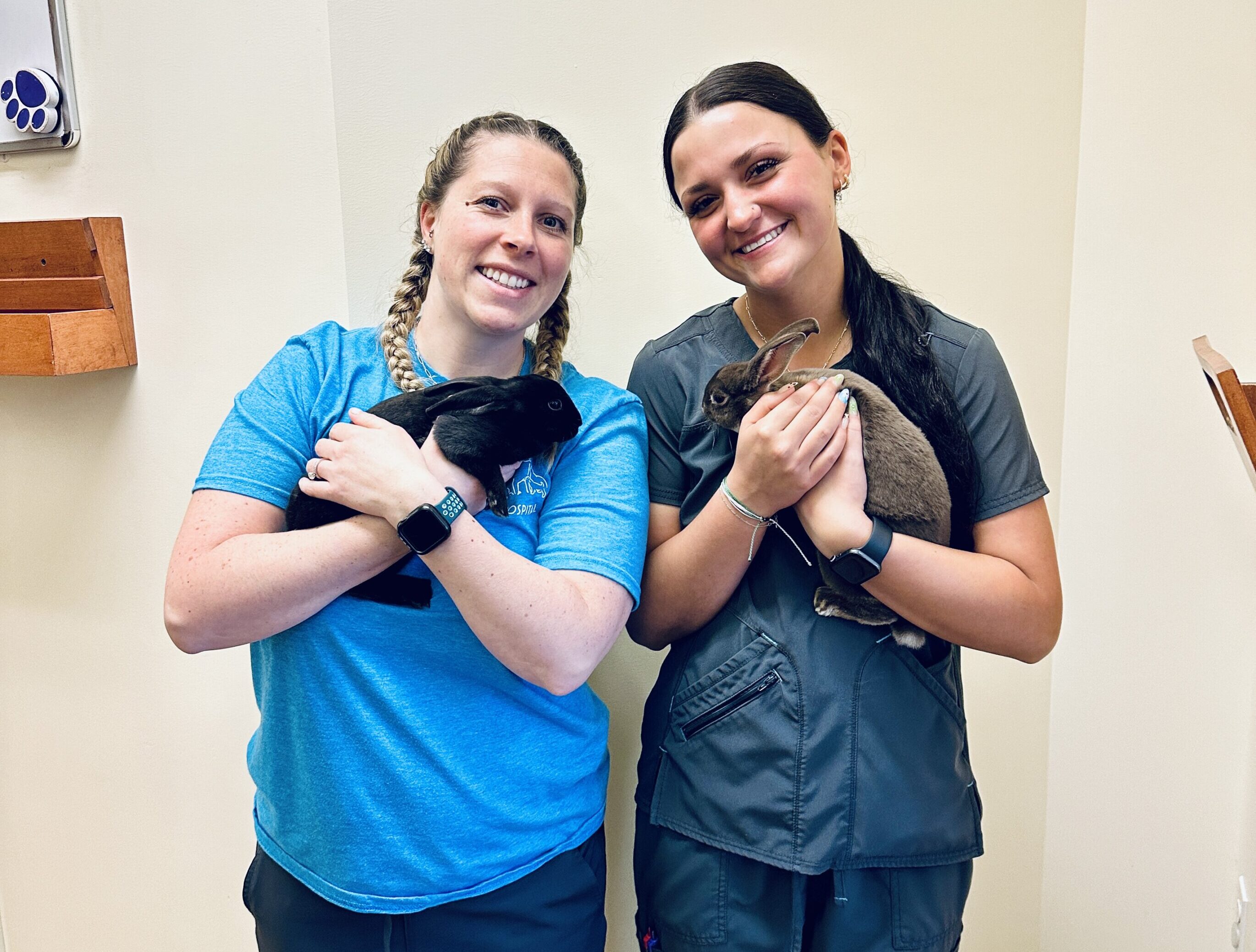Nutritional Counseling Bay Animal Hospital 