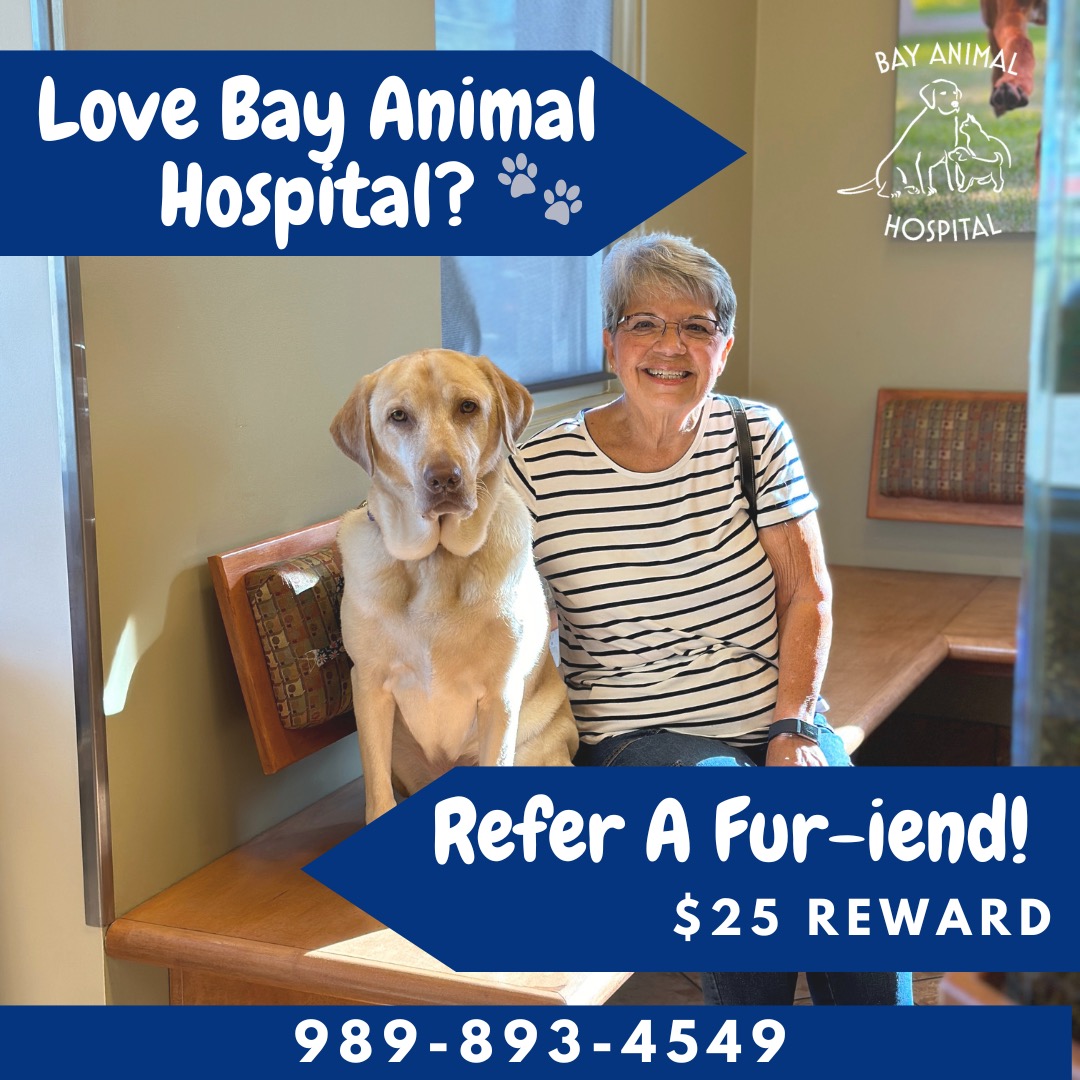 Fur-iends Referral Program - 1 Fur-iends-Referral-Program