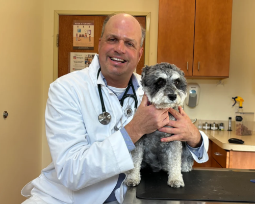 Steve P Bay Animal Hospital