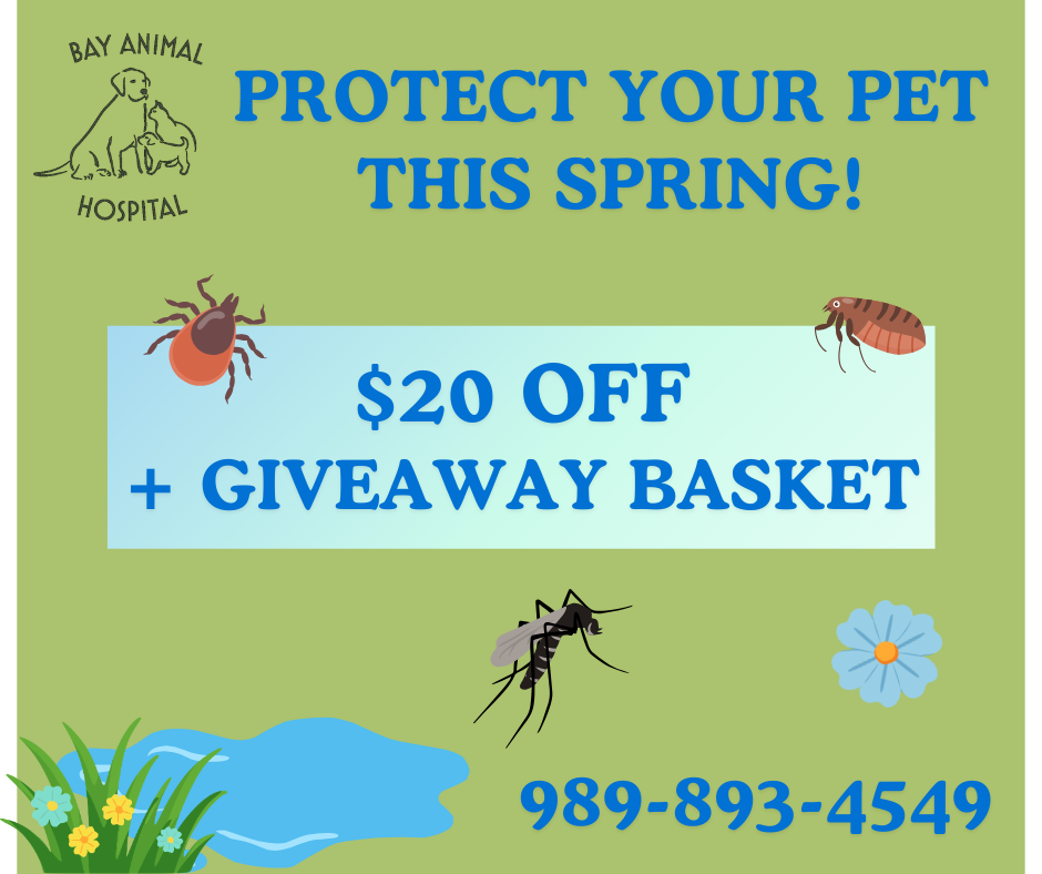 Spring Promo (1) Spring Promo