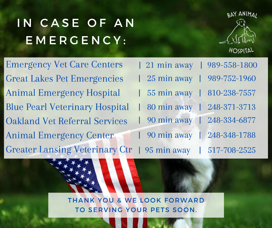 Emergency Contact Updates